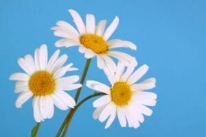 Steuerfreie Mitarbeiter-Geschenke